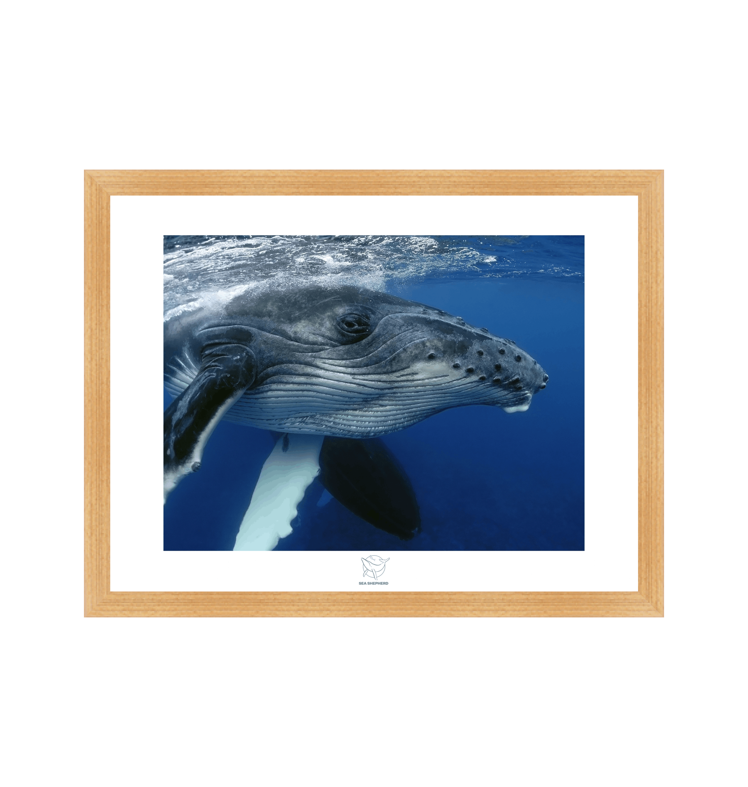 Natural Frame Fine art print Front